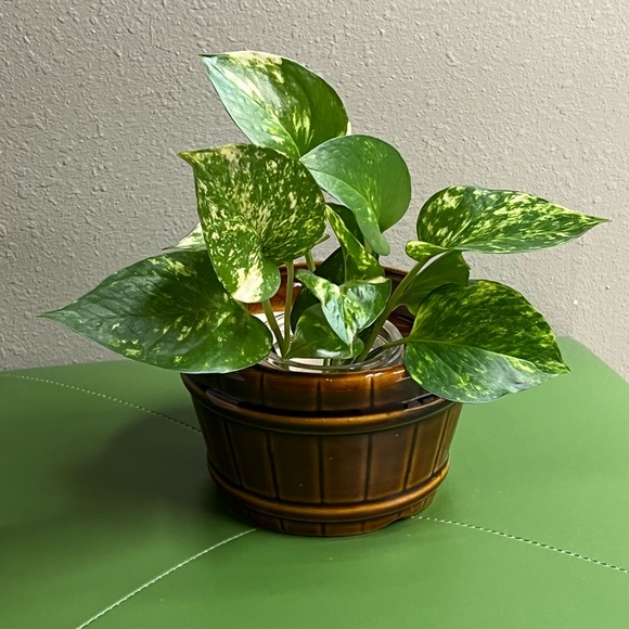 VINTAGE Pottery Barrel Planter Made in Taiwan - Picture 10 of 11